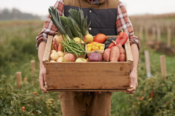 Farmer holding a box of fresh produce on a small farm, representing nutrient-dense foods that help support magnesium levels despite soil depletion.